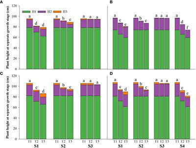 Rice yield penalty and quality deterioration is associated with failure of nitrogen uptake from regreening to panicle initiation stage under salinity